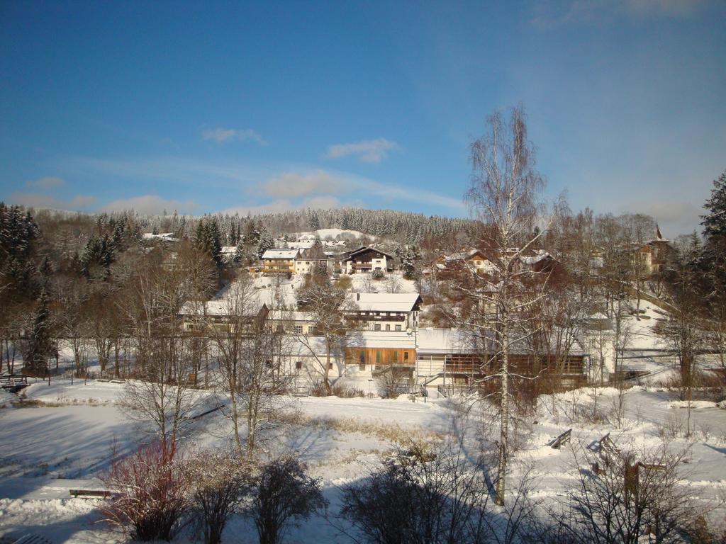 Apartments Josef Seitz Bayerisch Eisenstein Rum bild